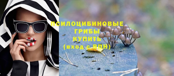 экстази Новодвинск