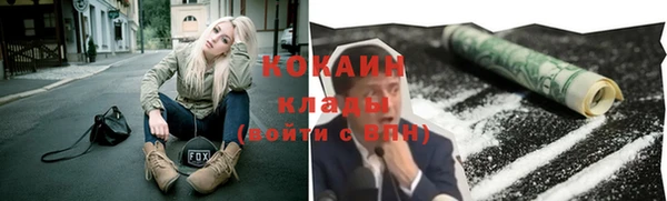 стафф Новозыбков