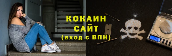 стафф Новозыбков