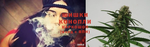 стафф Новозыбков