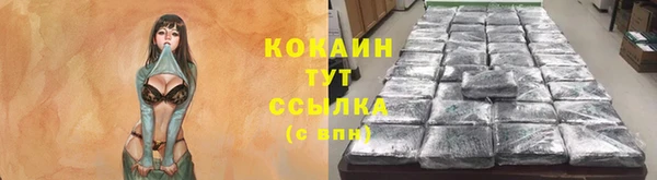 стафф Новозыбков