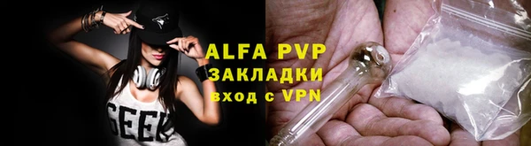 стафф Новозыбков