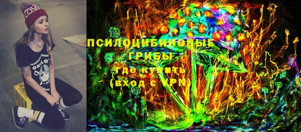 стафф Новозыбков