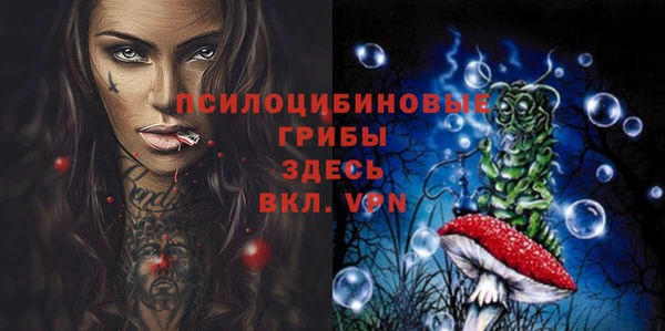 экстази Новодвинск