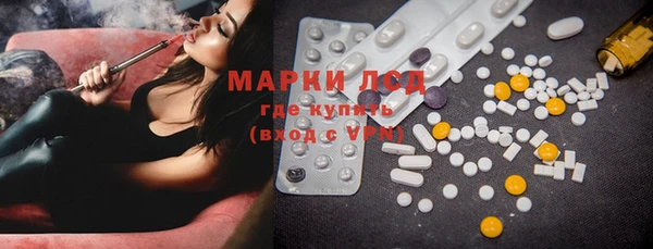 стафф Новозыбков