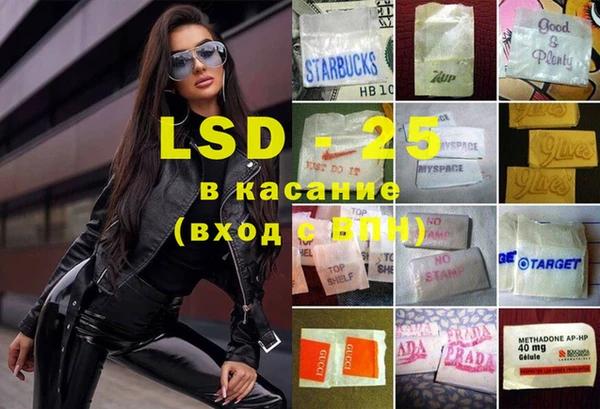 стафф Новозыбков